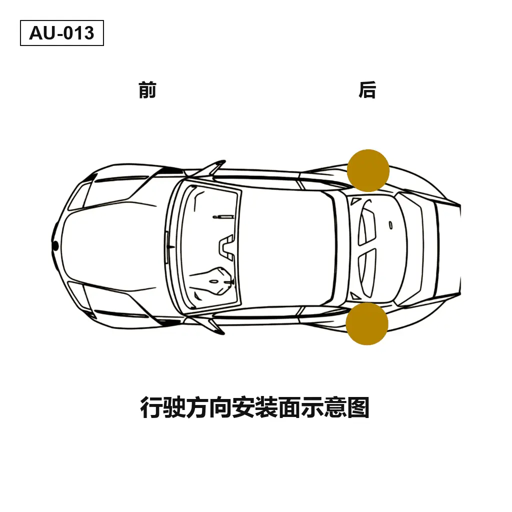 Audi R8 2007-2015 后 空气悬挂减震器（420512019AA, 420512019AC, 420512019AP） 4