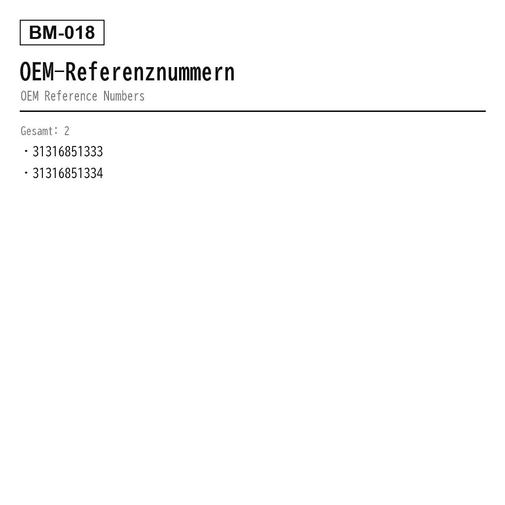 BMW X1 E84 2010-2015 Vorne Luftfederungs-Stoßdämpfer (31316851333, 31316851334) 3