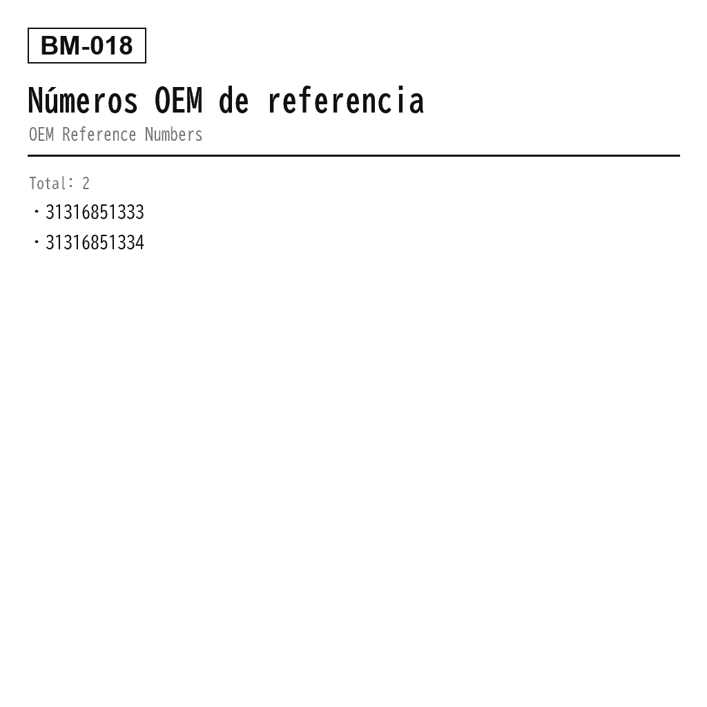 BMW X1 E84 2010-2015 Delantero Amortiguador de Suspensión Neumática (31316851333, 31316851334) 3