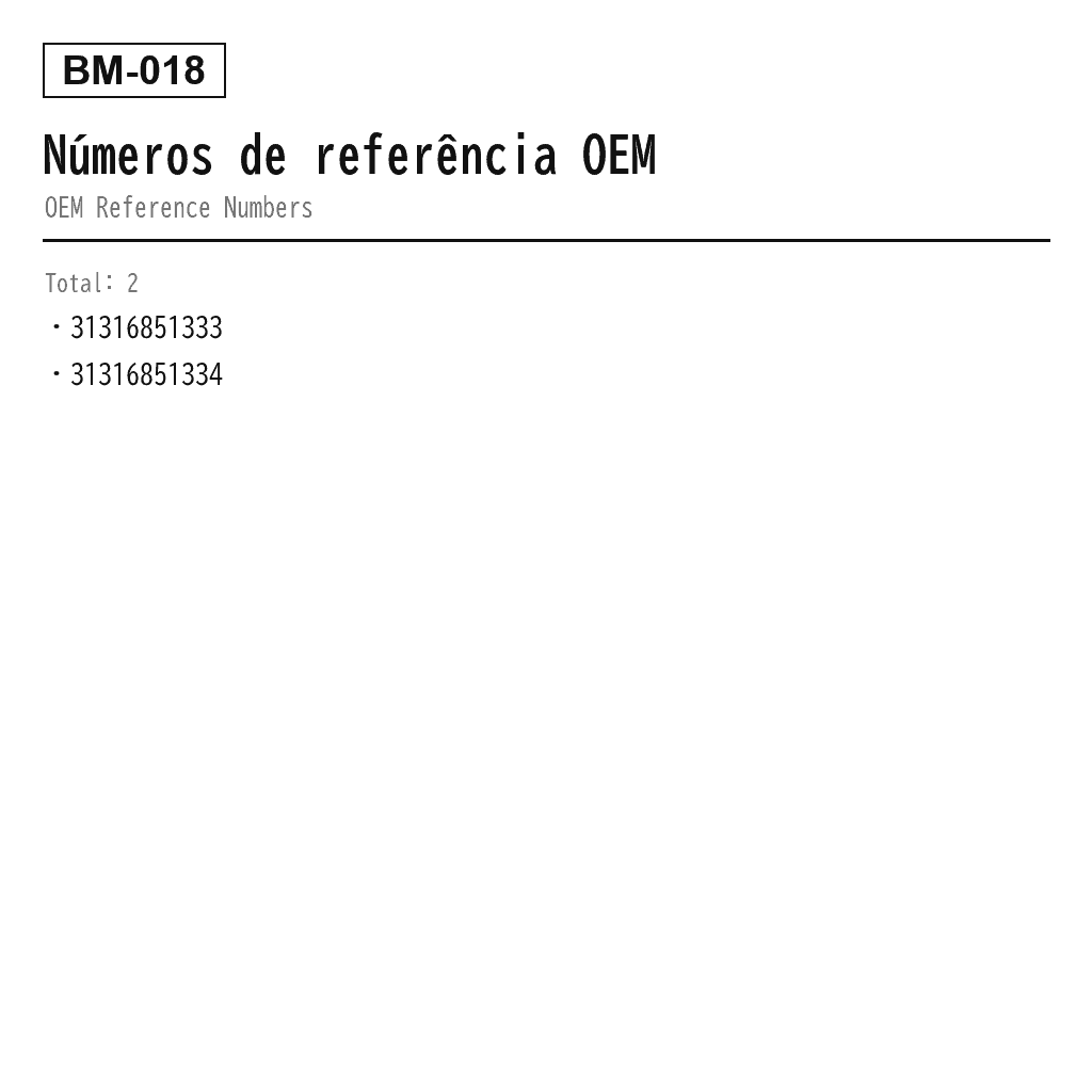 BMW X1 E84 2010-2015 Dianteiro Amortecedor de Suspensão Pneumática (31316851333, 31316851334) 3