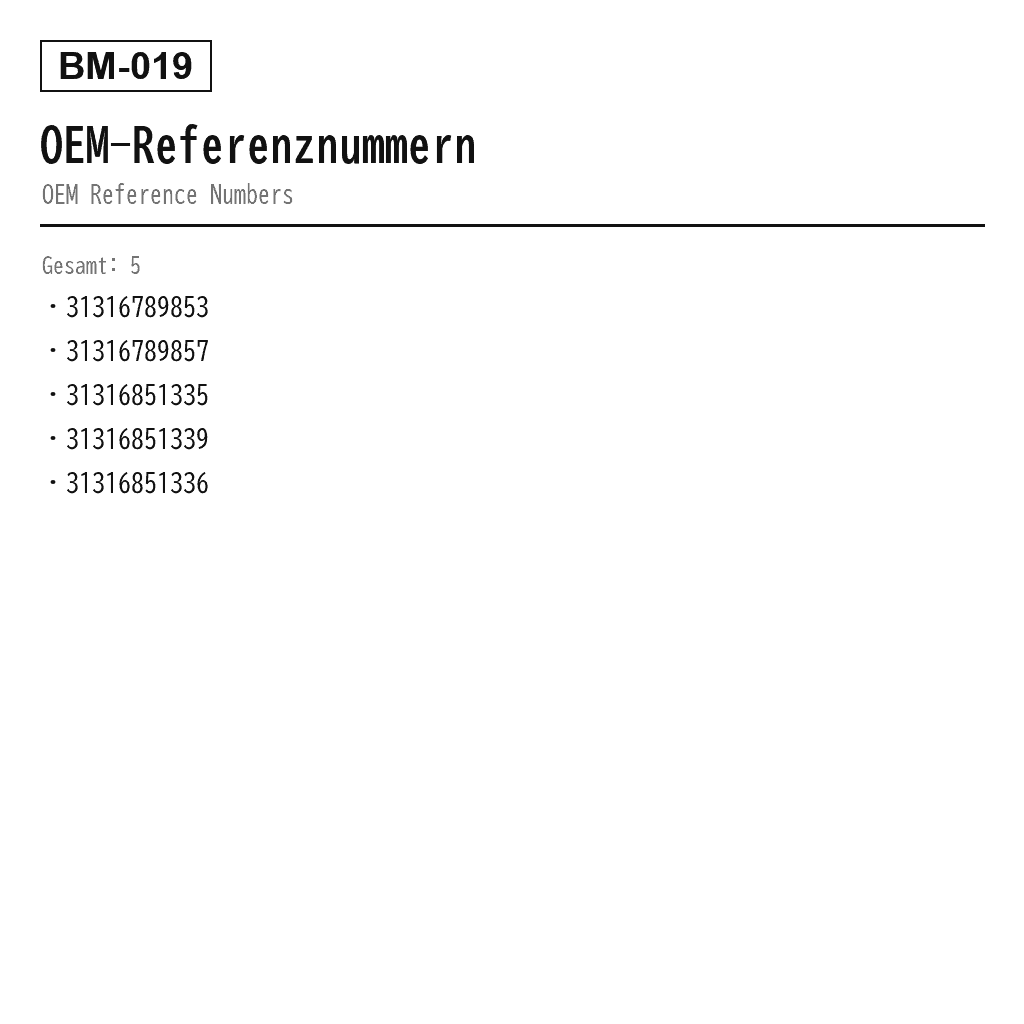 BMW X1 E84 2013-2015 Vorne Luftfederungs-Stoßdämpfer (31-31-6-789-853, 31-31-6-789-857, 31-31-6-851-335, 31-31-6-851-339, 31316851336) 3